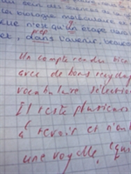 A marked French essay with tutor feedback